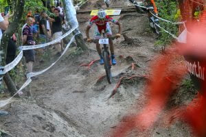 35525323050_bb4b95d87e_o